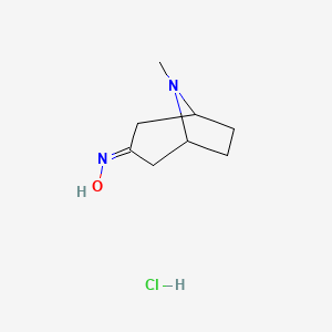 8-Methyl-8-azabicyclo[3.2.1]octan-3-one oxime hydrochloride