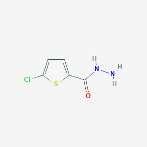 5-Chlorothiophene-2-carbohydrazide