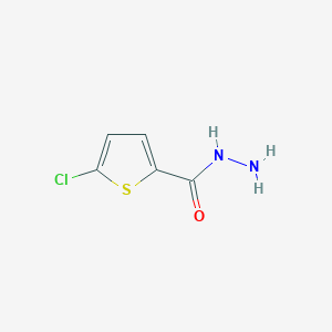 molecular formula C5H5ClN2OS B1349901 5-Chlorothiophene-2-carbohydrazide CAS No. 351983-31-8