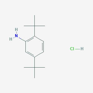 molecular formula C14H24ClN B13500125 2,5-Di-tert-butylaniline hydrochloride 