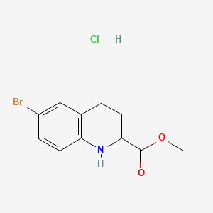 molecular formula C11H13BrClNO2 B13500662 Methyl 6-bromo-1,2,3,4-tetrahydroquinoline-2-carboxylate hydrochloride 