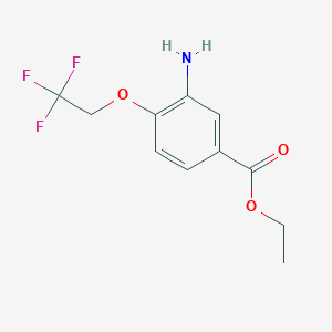 molecular formula C11H12F3NO3 B13500693 Ethyl 3-amino-4-(2,2,2-trifluoroethoxy)benzoate 