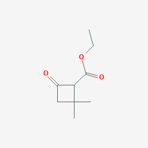 molecular formula C9H14O3 B13501095 Ethyl 2,2-dimethyl-4-oxocyclobutane-1-carboxylate 
