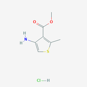 molecular formula C7H10ClNO2S B13502463 Methyl 4-amino-2-methylthiophene-3-carboxylate;hydrochloride 