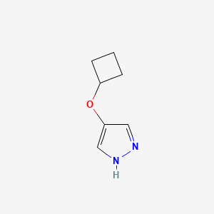 molecular formula C7H10N2O B13502780 4-Cyclobutoxy-1H-pyrazole 
