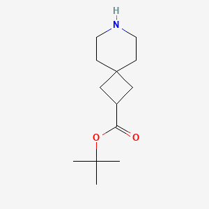 molecular formula C13H23NO2 B13502799 Tert-butyl 7-azaspiro[3.5]nonane-2-carboxylate 