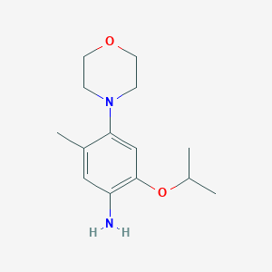 molecular formula C14H22N2O2 B13503021 5-Methyl-4-(morpholin-4-yl)-2-(propan-2-yloxy)aniline 
