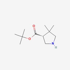 molecular formula C11H21NO2 B13503034 tert-butyl (3R)-4,4-dimethylpyrrolidine-3-carboxylate 
