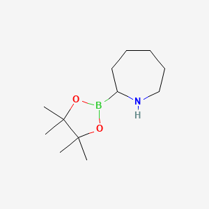 molecular formula C12H24BNO2 B13503049 2-(Tetramethyl-1,3,2-dioxaborolan-2-yl)azepane 