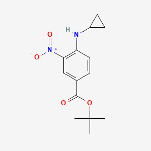 molecular formula C14H18N2O4 B13504333 Tert-butyl 4-(cyclopropylamino)-3-nitrobenzoate 