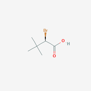 molecular formula C6H11BrO2 B13505557 (R)-2-Bromo-3,3-dimethylbutanoic Acid 