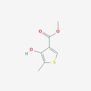 molecular formula C7H8O3S B13505822 Methyl4-hydroxy-5-methylthiophene-3-carboxylate 