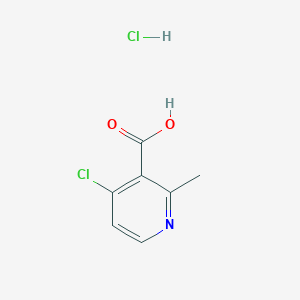 molecular formula C7H7Cl2NO2 B13505843 4-Chloro-2-methylpyridine-3-carboxylic acid hydrochloride 