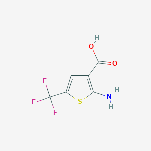 molecular formula C6H4F3NO2S B13506685 2-Amino-5-(trifluoromethyl)thiophene-3-carboxylic acid 