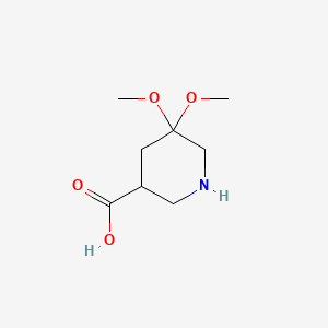 molecular formula C8H15NO4 B13507058 5,5-Dimethoxypiperidine-3-carboxylic acid 