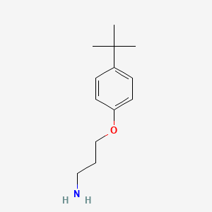 molecular formula C13H21NO B13507870 3-(4-Tert-butylphenoxy)propan-1-amine 