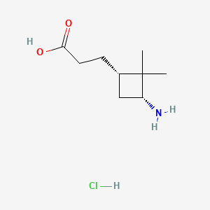 molecular formula C9H18ClNO2 B13508281 3-[(1S,3R)-3-amino-2,2-dimethylcyclobutyl]propanoic acid hydrochloride 