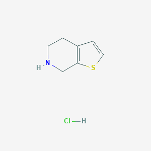 molecular formula C7H10ClNS B135083 4,5,6,7-四氢噻吩并[2,3-C]吡啶盐酸盐 CAS No. 28783-38-2