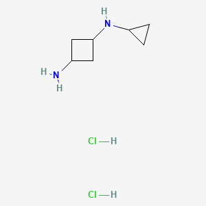 molecular formula C7H16Cl2N2 B13508684 N1-cyclopropylcyclobutane-1,3-diamine dihydrochloride 