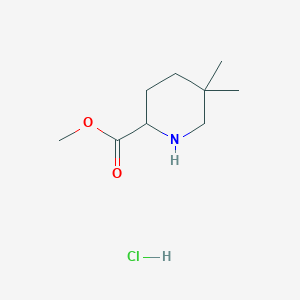 molecular formula C9H18ClNO2 B13510798 Methyl 5,5-dimethylpiperidine-2-carboxylate hydrochloride 