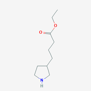 molecular formula C10H19NO2 B13511022 Ethyl 4-(pyrrolidin-3-yl)butanoate 