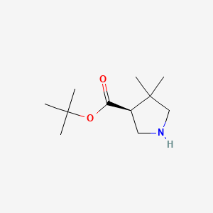 molecular formula C11H21NO2 B13511401 tert-butyl (3S)-4,4-dimethylpyrrolidine-3-carboxylate 