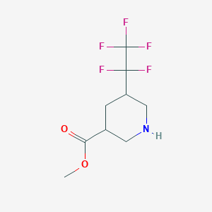 molecular formula C9H12F5NO2 B13512553 Methyl 5-(1,1,2,2,2-pentafluoroethyl)piperidine-3-carboxylate 