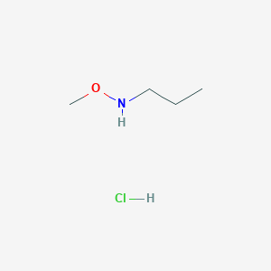 molecular formula C4H12ClNO B13512900 Methoxy(propyl)amine hydrochloride 