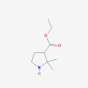 molecular formula C9H17NO2 B13512912 Ethyl 2,2-dimethylpyrrolidine-3-carboxylate CAS No. 1705585-24-5