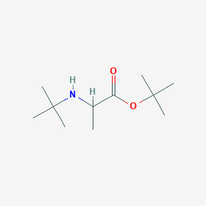 molecular formula C11H23NO2 B13513288 Tert-butyl 2-(tert-butylamino)propanoate 