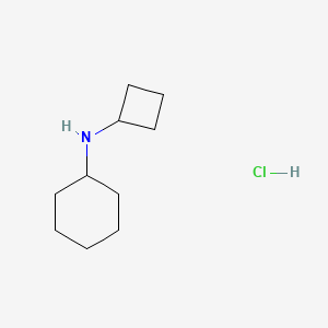 molecular formula C10H20ClN B13513373 N-cyclobutylcyclohexanamine hydrochloride 