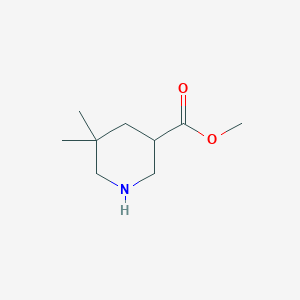 molecular formula C9H17NO2 B13519518 Methyl 5,5-dimethylpiperidine-3-carboxylate 