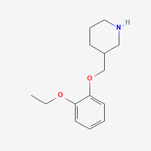 molecular formula C14H21NO2 B1352136 3-[(2-Ethoxyphenoxy)methyl]piperidine CAS No. 104778-54-3