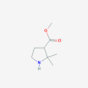 molecular formula C8H15NO2 B13532202 Methyl 2,2-dimethylpyrrolidine-3-carboxylate 