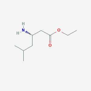 molecular formula C9H19NO2 B13534173 Ethyl (S)-3-amino-5-methylhexanoate 