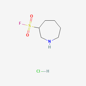 molecular formula C6H13ClFNO2S B13536251 Azepane-3-sulfonyl fluoride hydrochloride CAS No. 2825006-11-7