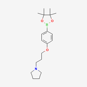 molecular formula C19H30BNO3 B13541515 1-{3-[4-(Tetramethyl-1,3,2-dioxaborolan-2-yl)phenoxy]propyl}pyrrolidine 