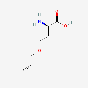 molecular formula C7H13NO3 B13541679 O-Allyl-D-homoserine 
