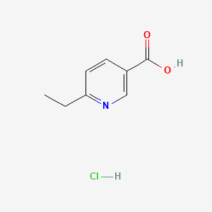 molecular formula C8H10ClNO2 B13541836 6-Ethylpyridine-3-carboxylic acid hydrochloride 