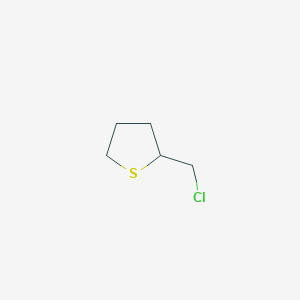 molecular formula C5H9ClS B13542724 2-(Chloromethyl)thiolane CAS No. 58474-54-7