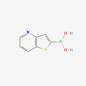 molecular formula C7H6BNO2S B13542884 B-thieno[3,2-b]pyridin-2-ylboronic acid 