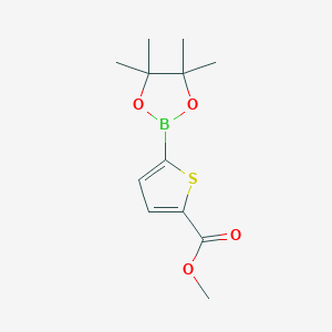 molecular formula C12H17BO4S B1354420 Methyl 5-(4,4,5,5-tetramethyl-1,3,2-dioxaborolan-2-yl)thiophene-2-carboxylate CAS No. 916138-13-1
