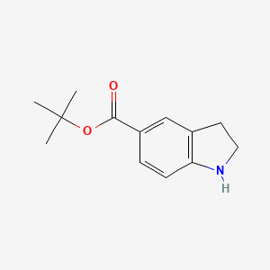 molecular formula C13H17NO2 B13545143 Tert-butyl indoline-5-carboxylate 