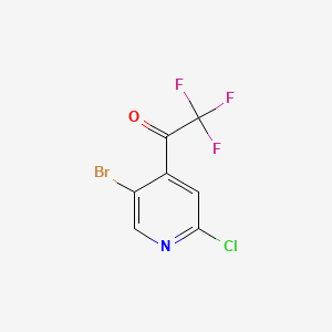 molecular formula C7H2BrClF3NO B13546020 1-(5-Bromo-2-chloropyridin-4-yl)-2,2,2-trifluoroethanone 
