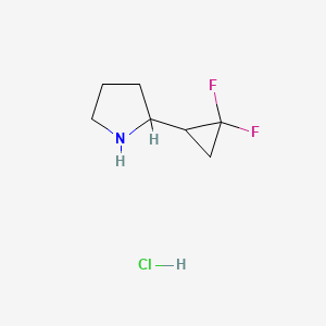 molecular formula C7H12ClF2N B13547055 2-(2,2-Difluorocyclopropyl)pyrrolidine hydrochloride CAS No. 2098003-26-8