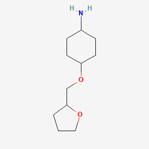 molecular formula C11H21NO2 B13547062 4-[(oxolan-2-yl)methoxy]cyclohexan-1-amine,Mixtureofdiastereomers 