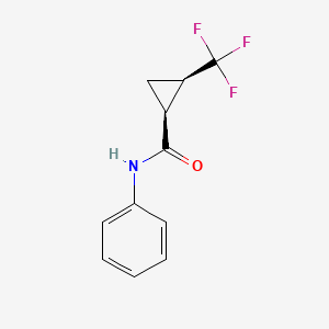 molecular formula C11H10F3NO B13548329 rac-(1R,2S)-N-phenyl-2-(trifluoromethyl)cyclopropane-1-carboxamide 