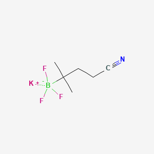 molecular formula C6H10BF3KN B13550159 Potassium(4-cyano-2-methylbutan-2-yl)trifluoroboranuide CAS No. 2803127-27-5
