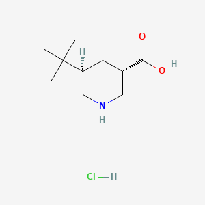 molecular formula C10H20ClNO2 B13551010 rac-(3R,5S)-5-tert-butylpiperidine-3-carboxylic acid hydrochloride 
