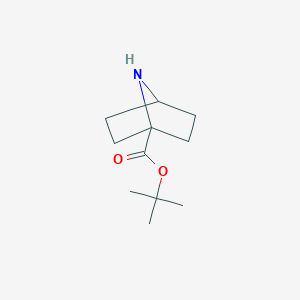 molecular formula C11H19NO2 B13551676 Tert-butyl 7-azabicyclo[2.2.1]heptane-1-carboxylate CAS No. 182137-45-7